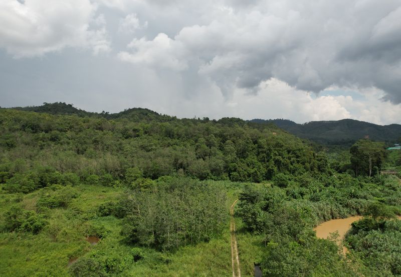 40.46 Hectares of Agricultural land for sale in Jelebu