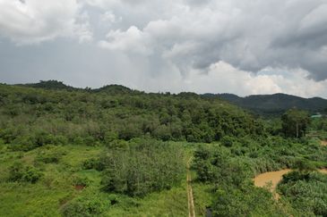 40.46 Hectares of Agricultural land for sale in Jelebu