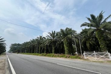 Development Land for Sale @ Banting, Selangor 