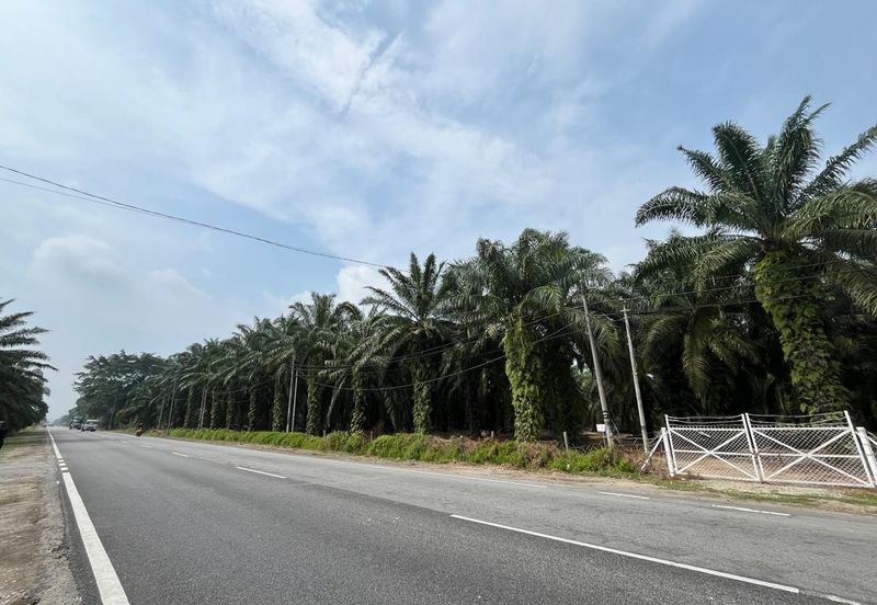 Development Land for Sale @ Banting, Selangor 