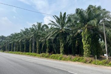 Development Land for Sale @ Banting, Selangor 