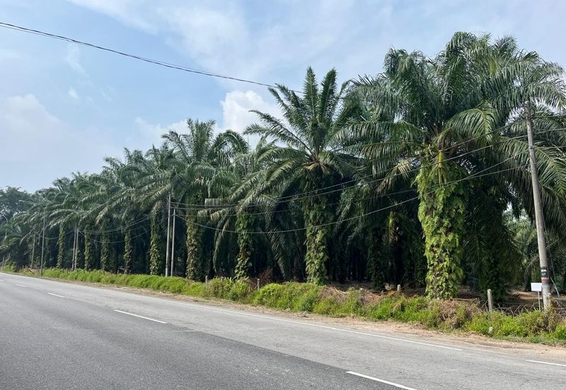 Development Land for Sale @ Banting, Selangor 