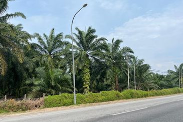 Development Land for Sale @ Banting, Selangor 