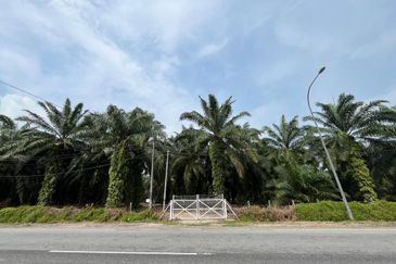 Development Land for Sale @ Banting, Selangor 