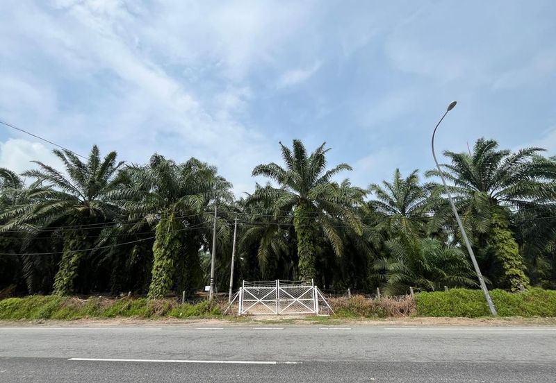 Development Land for Sale @ Banting, Selangor 