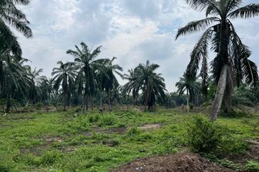 Development Land for Sale @ Tanjong Sepat, Selangor 