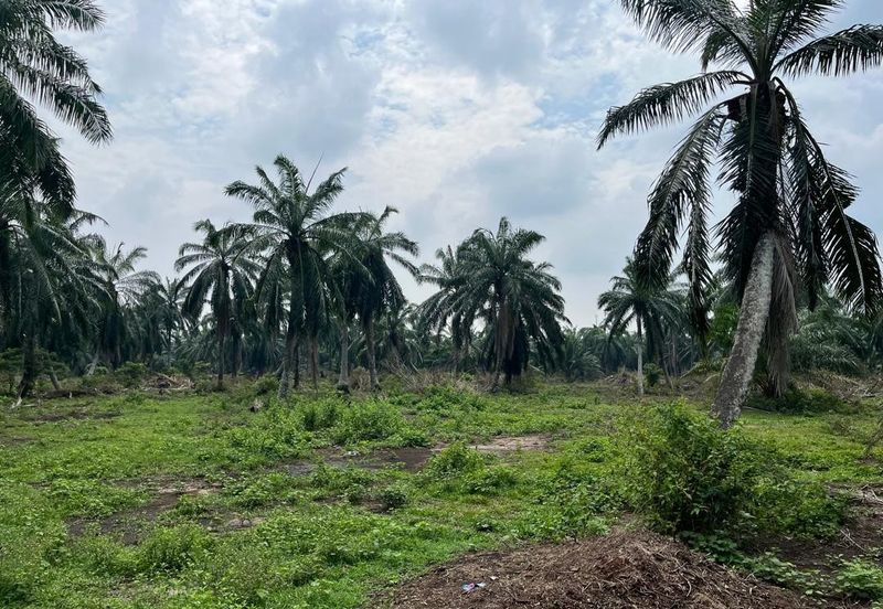 Development Land for Sale @ Tanjong Sepat, Selangor 