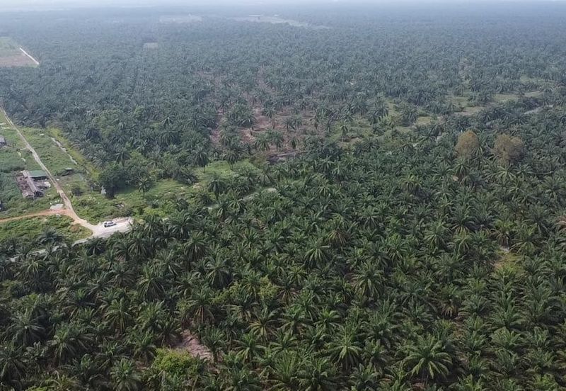 Development Land for Sale @ Tanjong Sepat, Selangor 