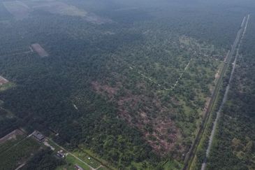 Development Land for Sale @ Tanjong Sepat, Selangor 