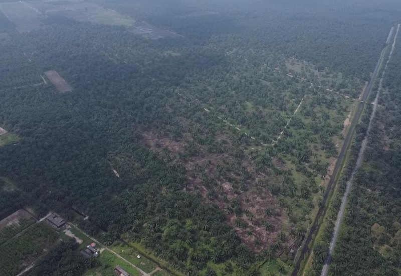 Development Land for Sale @ Tanjong Sepat, Selangor 