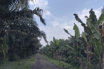 Sepang Industrial Park