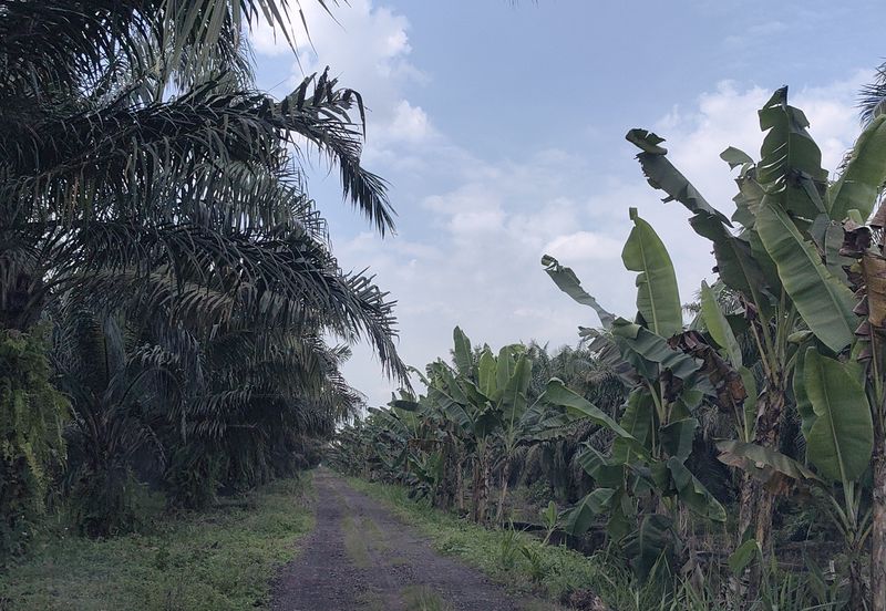Sepang Industrial Park