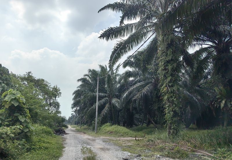 Banting @ Industrial