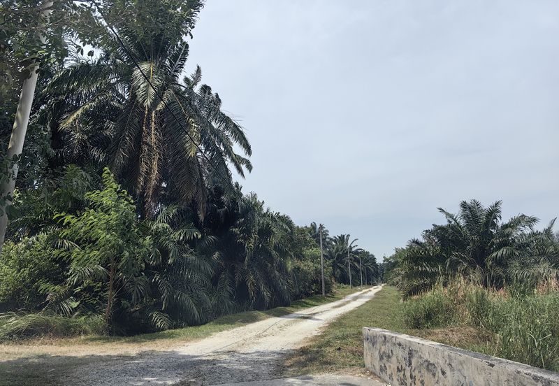 Jenjarom Industrial Park