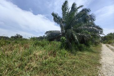 Jenjarom Industrial Park