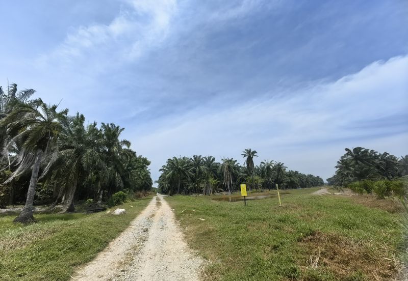 Jenjarom Industrial Park