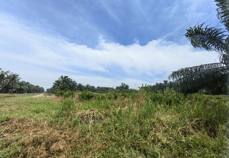 Jenjarom Industrial Park