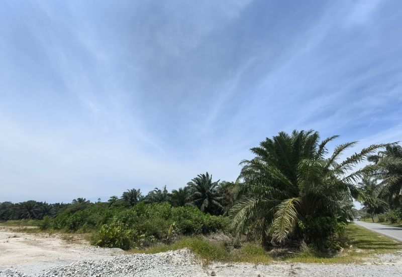 4  acres Industrial Zone Freehold Land For Sale @ Jenjarom Town, Banting