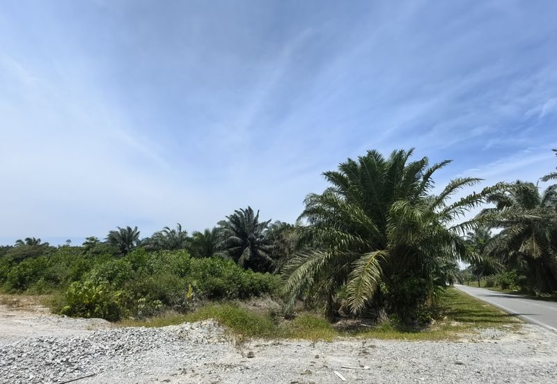 4  acres Industrial Zone Freehold Land For Sale @ Jenjarom Town, Banting