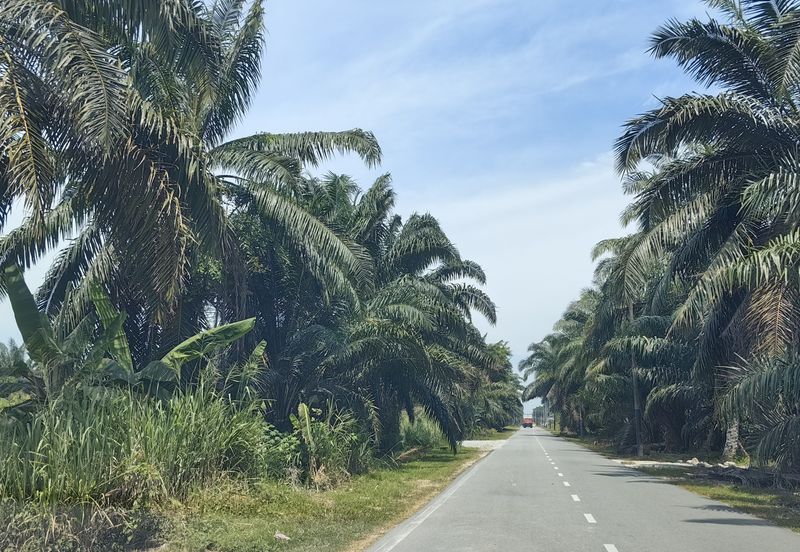 4  acres Industrial Zone Freehold Land For Sale @ Jenjarom Town, Banting