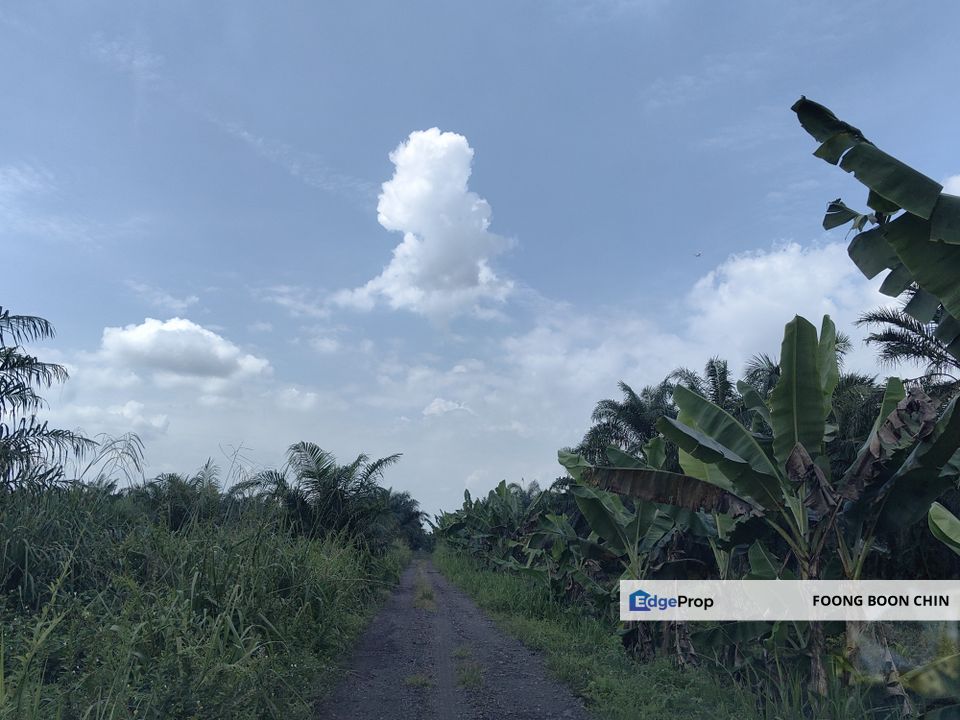 RM 25 psf Industrial Zone Land Close To KLIA For Sale @ Tanjung Dua Belas, Sepang, Selangor, Kuala Langat