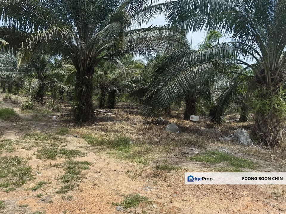 RM 25 psf Industrial Zone Land Close To KLIA For Sale @ Tanjung Dua Belas, Sepang, Selangor, Kuala Langat