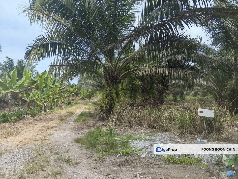 RM 25 psf Industrial Zone Land Close To KLIA For Sale @ Tanjung Dua Belas, Sepang, Selangor, Kuala Langat