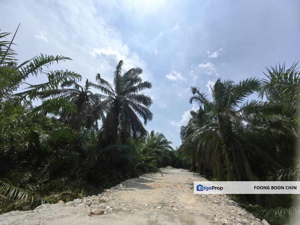 3.6 acres Freehold Industrial zone Land For Sale @ Jln Sungai Rambai mainroad, Selangor, Jenjarom