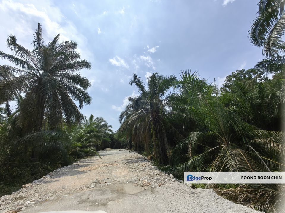 1.8 acres Freehold Land @ Jenjarom, Mainroad Jalan Sungai Rambai (Industrial zone), Selangor, Jenjarom