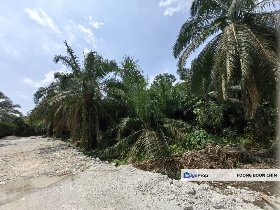 1.8 acres Freehold Land @ Jenjarom, Mainroad Jalan Sungai Rambai (Industrial zone), Selangor, Jenjarom