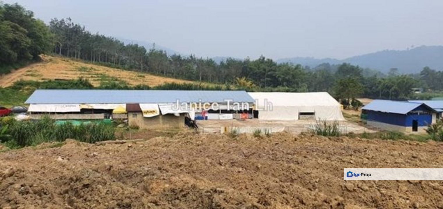 4 Acre Freehold agriculture land Kerling For Sale for Sale RM238,000