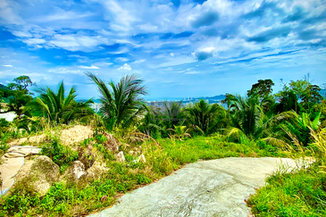 44 Acre Agricultural Land in Paya Terubong