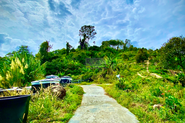 44 Acre Agricultural Land in Paya Terubong