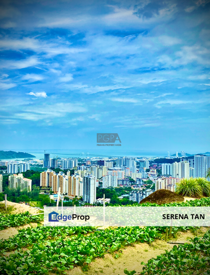 44 Acre Agricultural Land in Paya Terubong, Penang, Paya Terubong