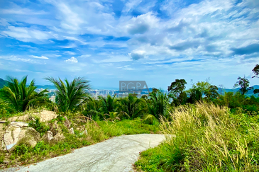 44 Acre Agricultural Land in Paya Terubong