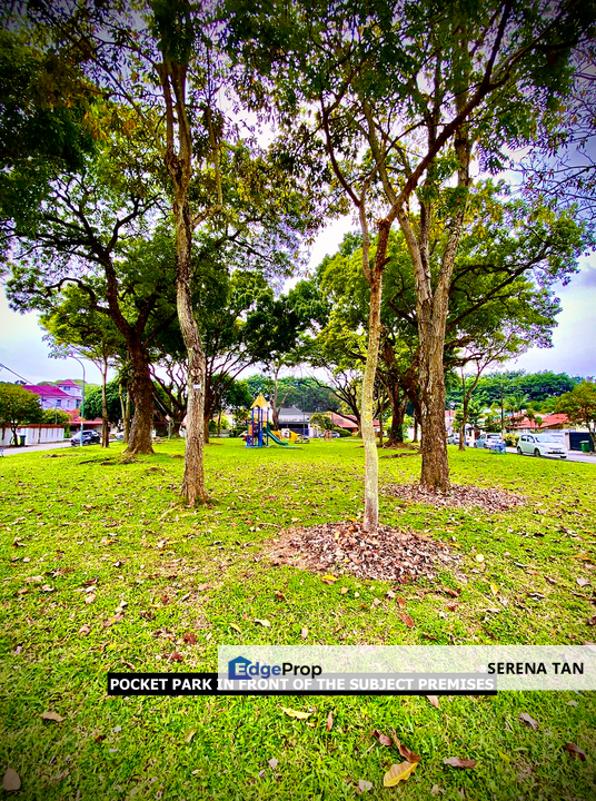 A Single-Storey Semi-Detached House in the Western Gardens., Penang, Pulau Tikus