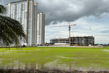 13.9-acre First Grade Lands in Seberang Perai Tengah.