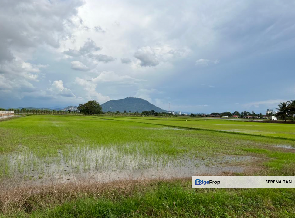 13.9-acre First Grade Lands in Seberang Perai Tengah., Penang, Seberang Perai