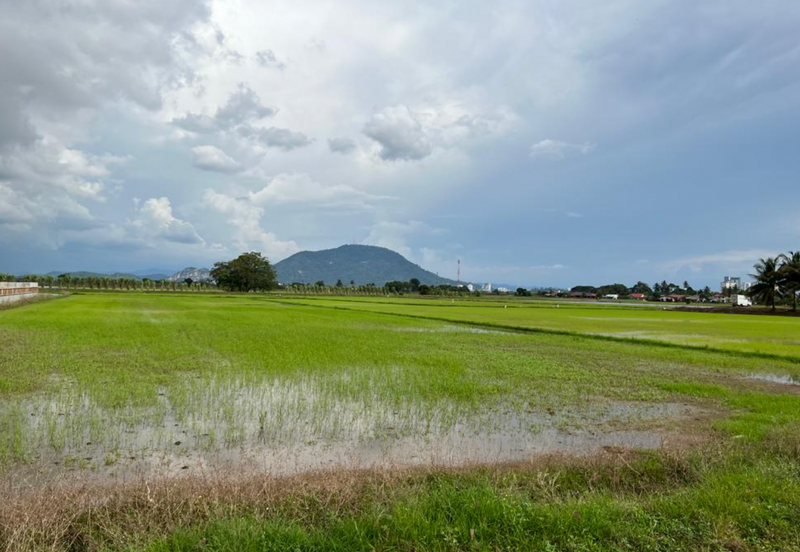 13.9-acre First Grade Lands in Seberang Perai Tengah.