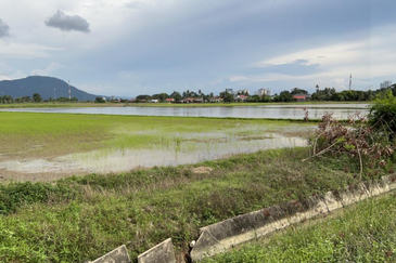 13.9-acre First Grade Lands in Seberang Perai Tengah.