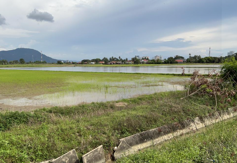 13.9-acre First Grade Lands in Seberang Perai Tengah.