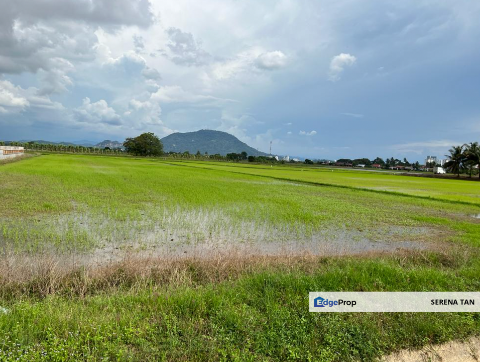 13.9-acre First Grade Lands in Seberang Perai Tengah., Penang, Seberang Perai