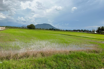 13.9-acre First Grade Lands in Seberang Perai Tengah.