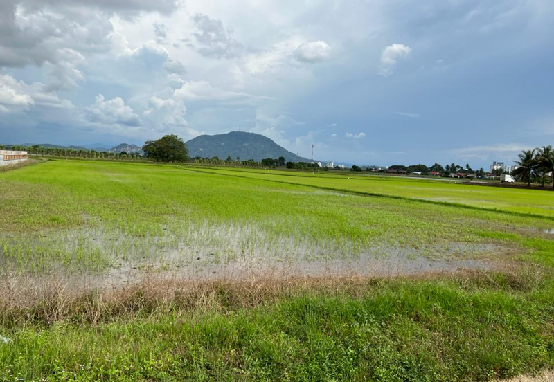 13.9-acre First Grade Lands in Seberang Perai Tengah.