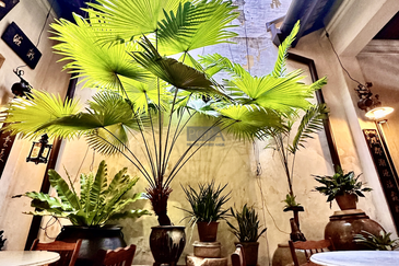 Heritage Shophouse on Armenian Street in George Town UNESCO World Heritage Site.