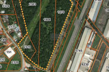 32-Acre Freehold Agricultural Land with Industrial Zoning in Nibong Tebal.