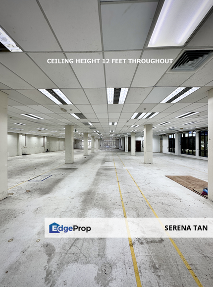 Industrial Property Ground-Floor space in Bayan Lepas Industrial Park., Penang, Bayan Lepas