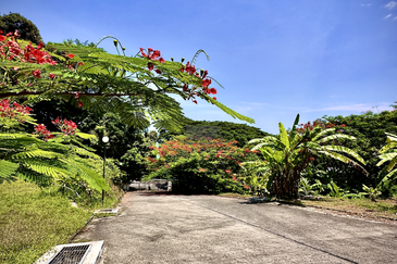Exquisite 2.7-acre Coastal Estate Offering Breathtaking Seaviews in Gertak Sanggul.