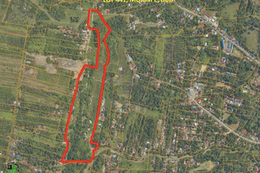 Balik Pulau / Teluk Bahang