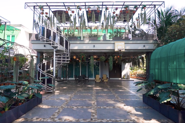 Five Luxurious Adjoining Bungalows in Prime George Town.